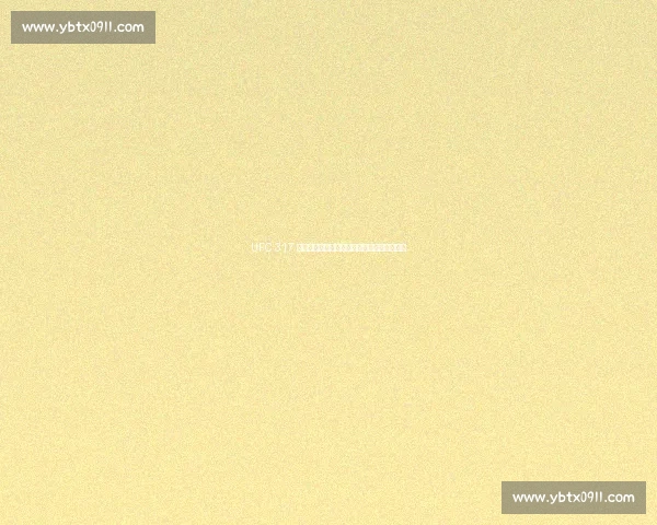 UFC 317 终极备战:八角笼即将点燃,谁能笑到最后? UFC 317 终极备战:八角笼即将点燃,谁能笑到最后?