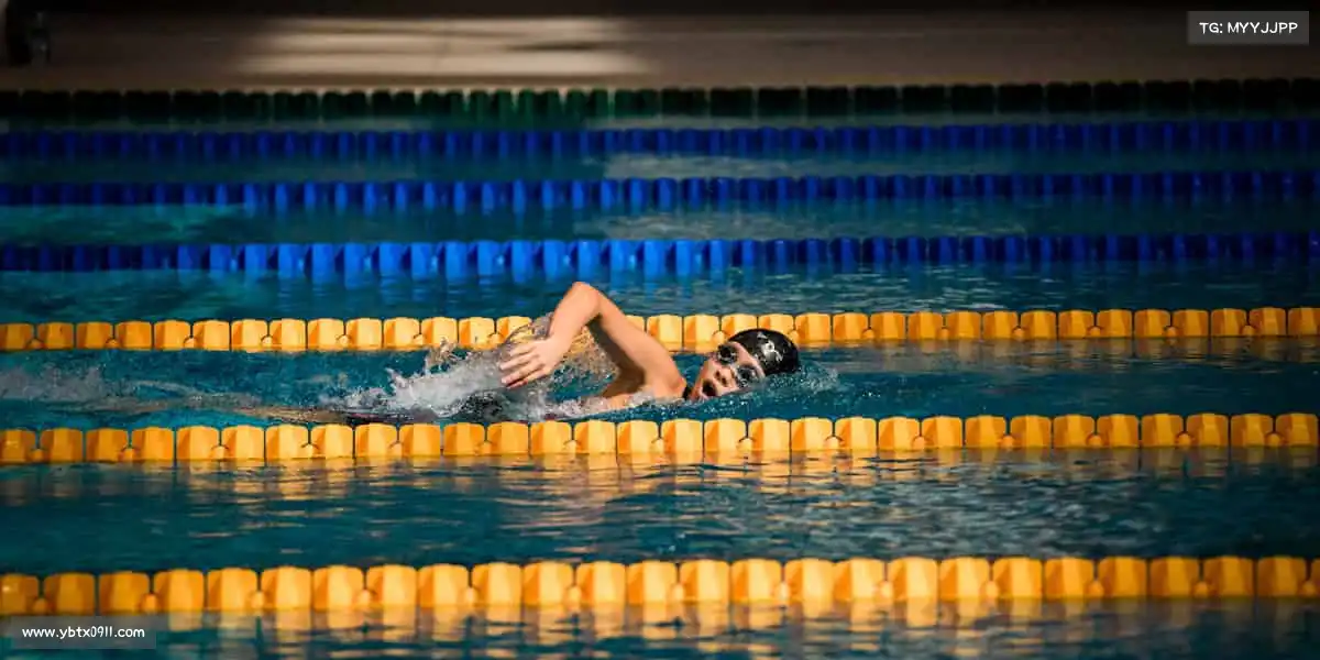 行业领先的理由